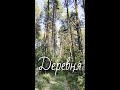 🔥 Поездка в деревню — лучший перезагруз ❤️🌅