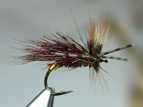 Tying the Gnasher Sedge Hog by Davie McPhail. - YouTube