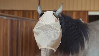Cashel Fly Masks | Econo & Crusader (Size Small)