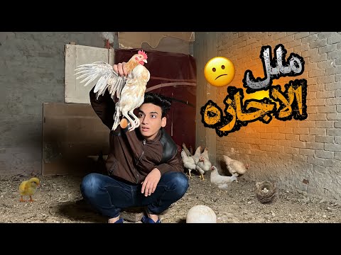 فيديو: جزر الكنز. جزر الكناري: نظرة جديدة على الإجازات العائلية