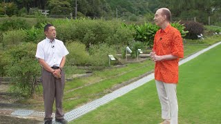 京都薬用植物園 Part.1 世界の薬用植物の収集保全｜タケダ