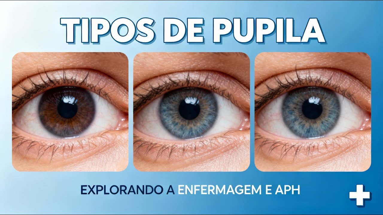 Como Avaliar as Pupilas? Aprenda os 4 Tipos e o Que Cada Uma Significa ...