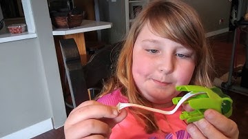 Sunday STEM Day - OWI Kingii Dragon Robot Science Kit