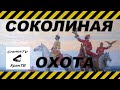 Соколиная охота [Falcon hunting]