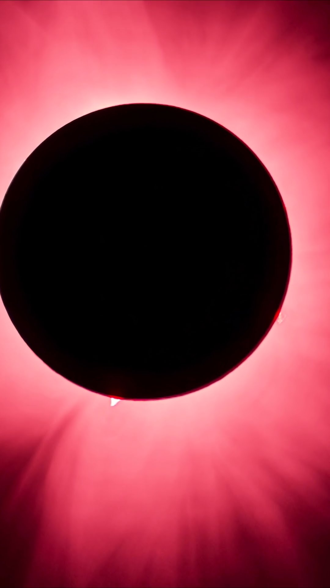 A total solar eclipse with solar flares ☀️ #Eclipse #Shorts #Sun