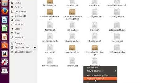 Tomcat 8.5.24 Installation using Zulu OpenJDK 9 in Ubuntu 16.04