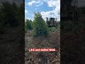 Precision Alignment for Paper Forest Planting!