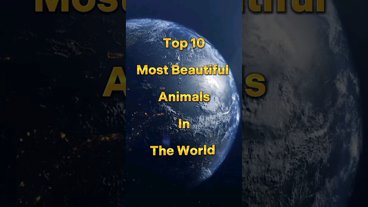 Top 10 Most Beautiful Animals In The World  shorts  viral  ytshorts  animals  beautiful