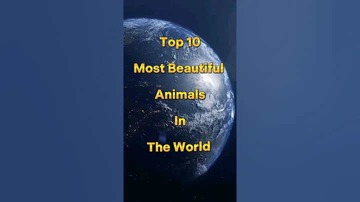 Top 10 Most Beautiful Animals In The World #shorts #viral #ytshorts #animals #beautiful - DayDayNews