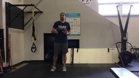 TRX Reverse Lunge