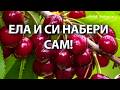 ЕЛА И СИ НАБЕРИ САМ!