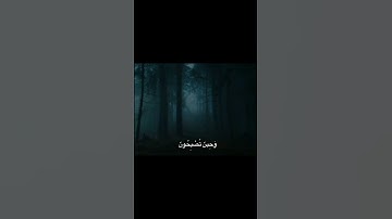 فَسُبْحَانَ اللَّهِ حِينَ تَمْسُونَ وَحِينَ تُصْبِحُونَ | محمد صديق المنشاوي | سورة الروم
