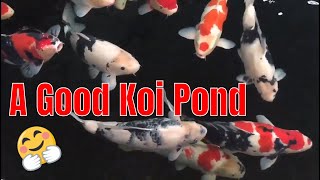 A Good Koi Ponds