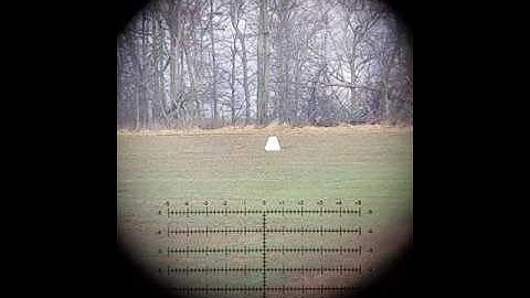 SAC (Short Action Customs) 223 at 1425yards