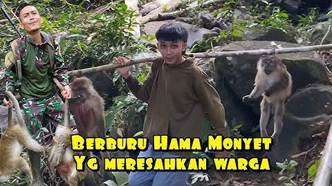 Berburu monyet 3 hari 2 malam di pulau