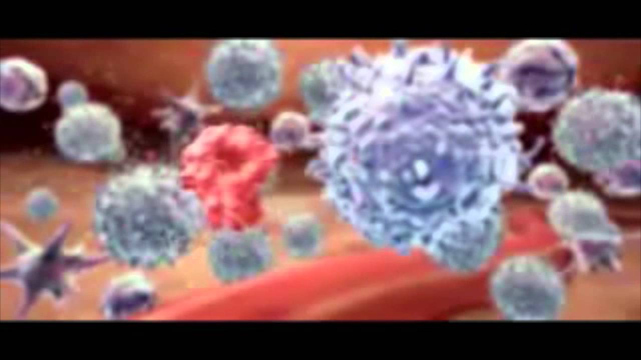remicade movie high res youtube how remicade works