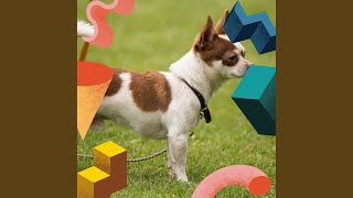 Simplistic Backdrops for Well Trained Pups