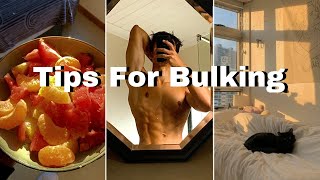 Tips For Bulking