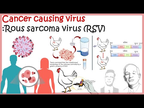 Onco-virus (Rous Sarcoma Virus : RSV) | how virus can cause cancer?