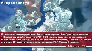 Коронавирус. Хроника на 11 ноября