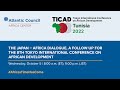 The Japan – Africa Dialogue, following the 8th Tokyo International Conference on African Development