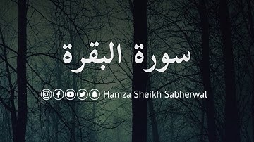Surah Al - Baqarah | Chap # 2 | Verse 11 - 20 | Ft Hamza Sheikh Sabherwal| #quranrecitation