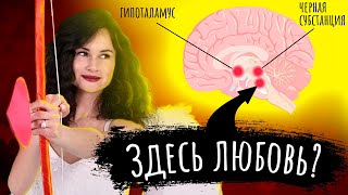 Любовь, мозг и отношения: как возникают чувства с точки зрения науки