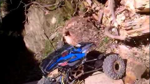 Rockslide rs10 on backyard course