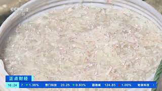 [正点财经]福建连江：晶莹剔透白如雪 丁香鱼鲜美上市| 财经风云