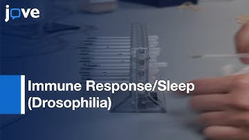 Quantitative Measurement Of Immune Response & Sleep In Drosophila