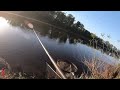 Peche au coup au parc des libertes  avignon