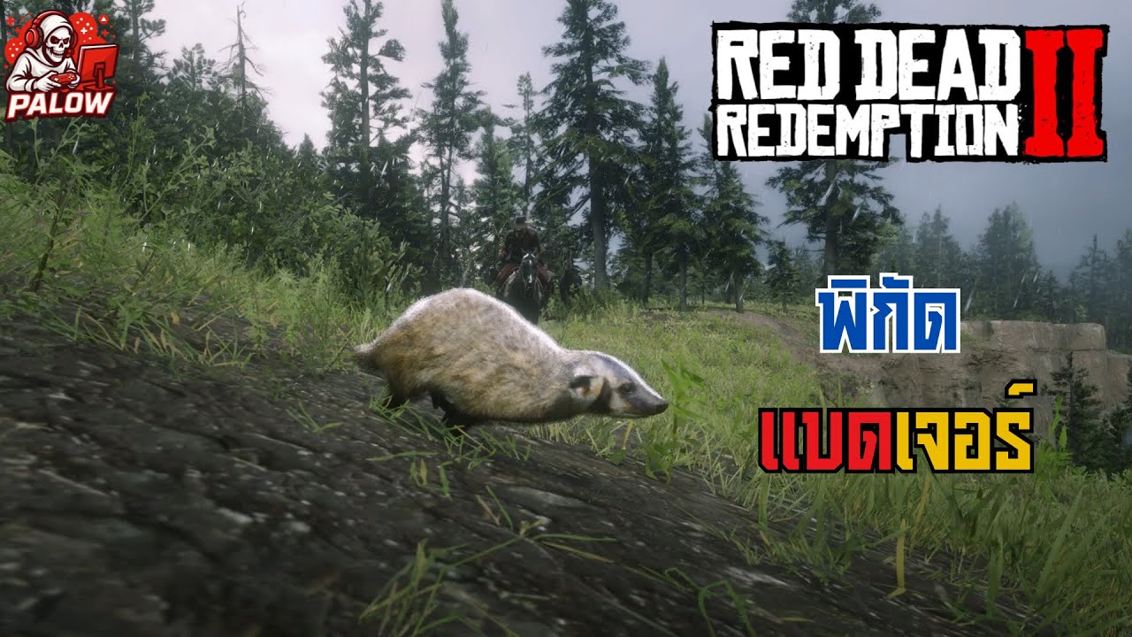 RDR2 American Badger Location | พิกัดอเมริกันแบดเจอร์ - YouTube