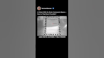 A Robot With No Brain Outsmarts Mazes. How Is That Even Possible 😱 #robot #shorts #technology #maze