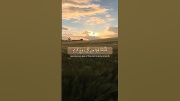 قران كريم راحه نفسيه #المصحف #اكسبلور #لايك #الرحمن #دويتو