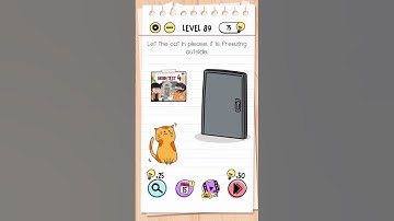 Brain Test Tricky Puzzles Level 89 Answer | Let the cat in please, it is freezing outside