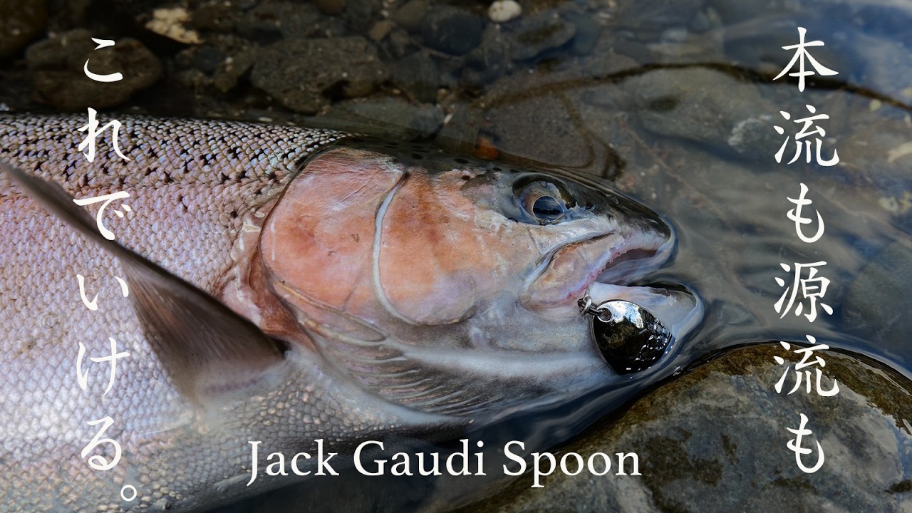 ジャックガウディスプーン2025集