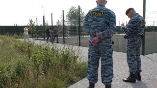 «Парк Собянинского периода в районе Марьино». Первая Часть. «Парк Собянинского периода в районе Марьино». Первая Часть.