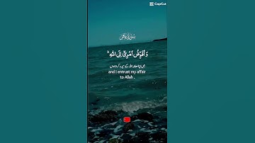 سورة غافر | تلاوة خاشعة | الشيخ محمد الفقيه