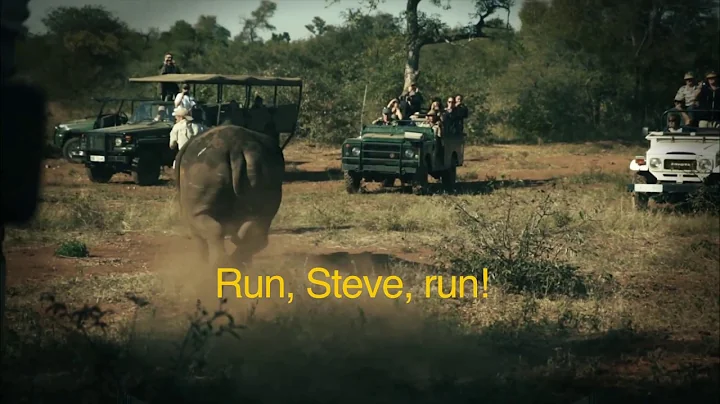 Rhino Chases    photographer/dir...  Steven Lyon!