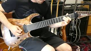 Periphery - Garden In The Bones (Guitar Solo) -  Tim Chilman