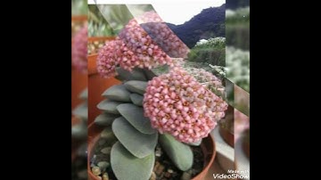 حالات واتس اب وانستى آيات السكينة والطمأنينة الله نور السموات والأرض