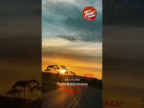 يطول بعدك واعيش بعدك اروح لمين ام كلثوم نغم وتناغم Shorts Short اكسبلور 