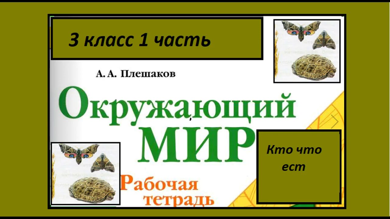 3 класс окружающий кто что есть. Цепочка питания животных. Примеры приспособленности животных к добыванию пищи. 3 класс окружающий кто что есть. Кто что ест рабочая тетрадь 3 класс.