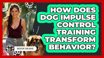 How Does Dog Impulse Control Training Transform Behavior? - Obedient Dog Guide