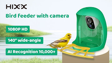 Unboxing：HIXX Smart Bird Feeder with Camera Product Review in Arkansas