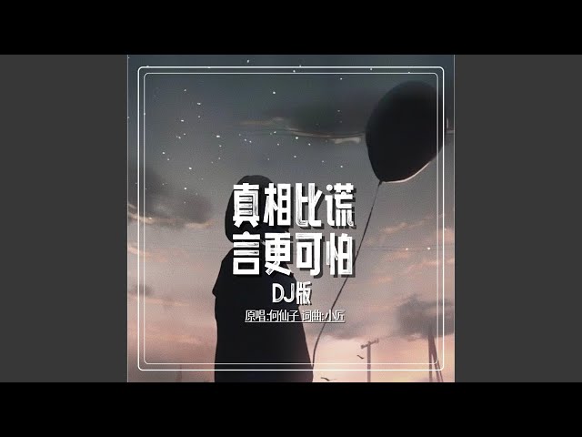 真相比谎言更可怕 (DJ版伴奏)