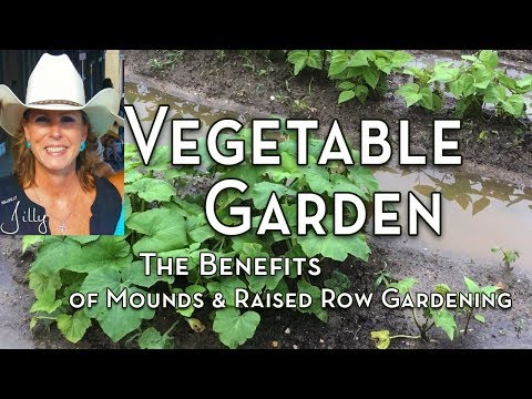 Vegetable Garden Mounds and the Benefits of Raised Row Gardening