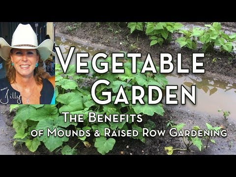 Repeat Vegetable Garden Mounds And The Benefits Of Raised Row