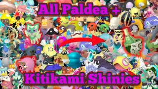 I CAUGHT ALL PALDEA AND KITIKAMI SHINY POKÉMON!!!!