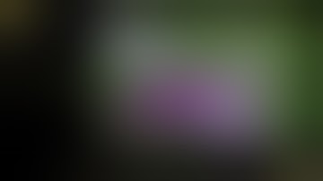 Fluorescence navigation in cancer surgery